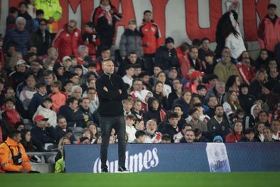 MDZol | Walter Ribonetto