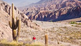 San Antonio de los Cobres resume el perfil más impactante de la Puna, con altura, aridez y una geografía que domina toda la escena. San Antonio de los Cobres resume el perfil más impactante de la Puna, con altura, aridez y una geografía que domina toda la escena.
