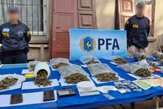 Parte de la droga incautada a los detenidos por el caso de narcomenudeo. 