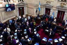 Este miércoles, se volverá a debatir la Ley Bases en el recinto Foto: EFE