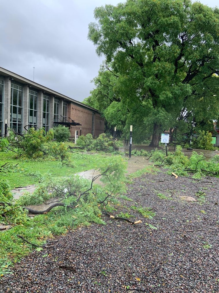 El pabellón Lorenzo Parodi de la Facultad de Agronomía después del temporal.