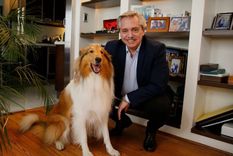Alberto Fernández y su perro Dylan.