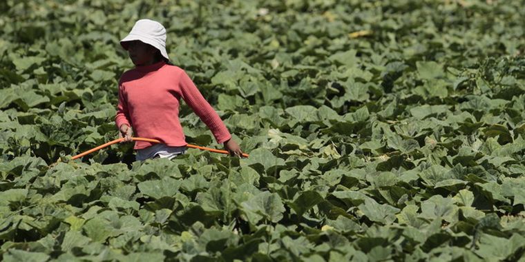 Foto: Nacho Gaffuri / MDZ