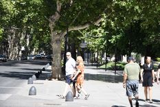 Foto: ALF PONCE MERCADO / MDZ