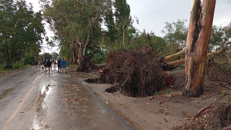 El registro de lluvia superó le récord. Se mantiene el alerta. El registro de lluvia superó le récord. Se mantiene el alerta.