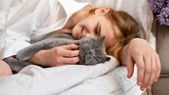 Los gatos eligen dormir con quien le transmite seguridad y calma, no solo por comodidad. Foto: Shutterstock Los gatos eligen dormir con quien le transmite seguridad y calma, no solo por comodidad. Foto: Shutterstock