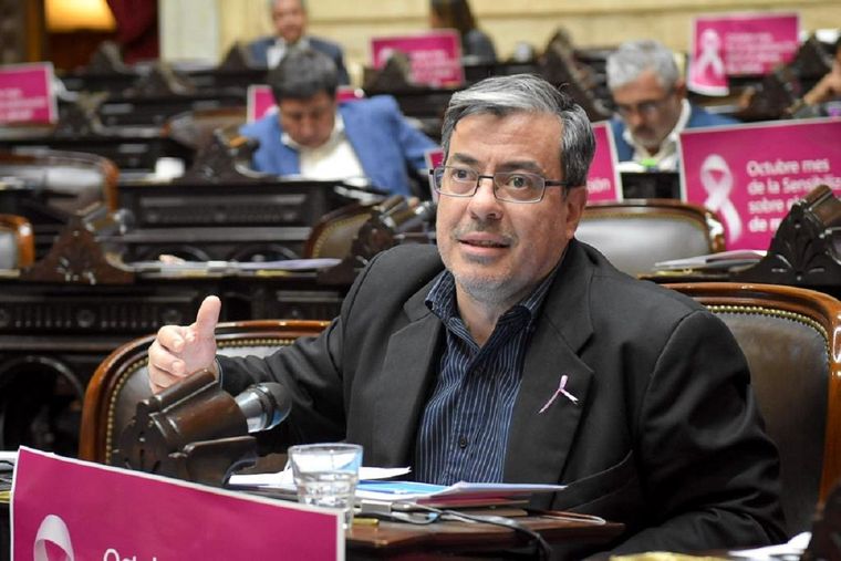 El líder de la bancada del FdT en Diputados, Germán Martínez Foto: Frente de Todos