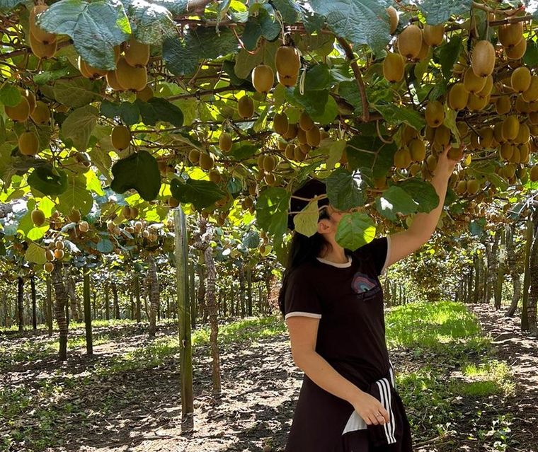 Dos jóvenes argentinas cuentan su experiencia en Nueva Zelanda cosechando y empaquetando kiwis Foto: Angela Tosi y Daniela Guzmán