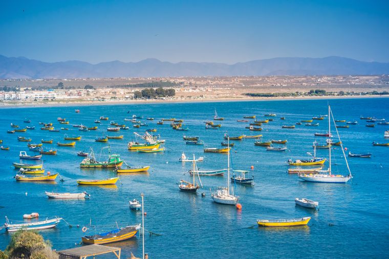 Tongoy es el destino para quienes buscan desconexión en verano. Foto: Shutterstock