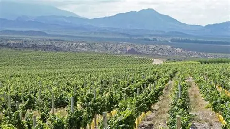 Regenerar la tierra no solamente es una consigna ambiental, es una estrategia de productividad. Regenerar la tierra no solamente es una consigna ambiental, es una estrategia de productividad.