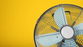 Aprende a limpiar correctamente el ventilador Foto: Shutterstock Aprende a limpiar correctamente el ventilador Foto: Shutterstock