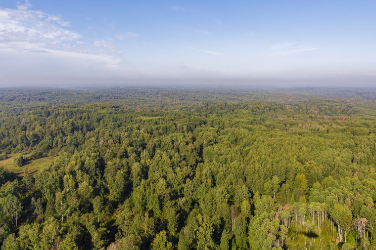 El hallazgo en Siberia reveló cerámicas únicas del Bronce que podrían pertenecer a una cultura desconocida.