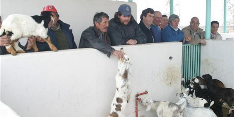 La Asociación podrá realizar compras y ventas por cuenta propia no funcionando como intermediario. Foto: MDZ
