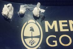 Envoltorios incautados por la Policía Foto: Ministerio de Seguridad de Mendoza Envoltorios incautados por la Policía Foto: Ministerio de Seguridad de Mendoza