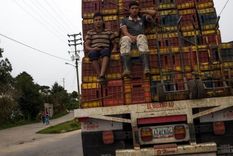 El transporte de alimentos es uno de los sectores más afectados por la escasez de diésel. Foto: GETTY IMAGES