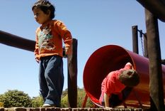 por mes 30 chicos pierden a sus madres por la violencia