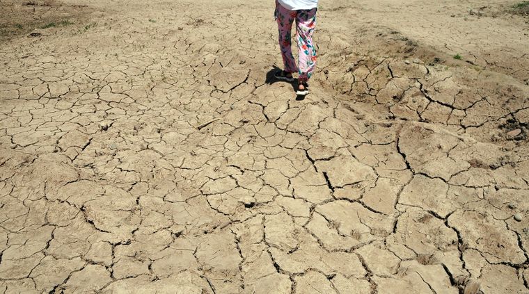 La sequía es uno de los grandes problemas ambientales en Mendoza Foto: ALF PONCE MERCADO / MDZ