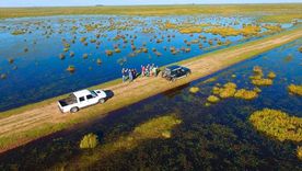 Los Esteros del Iberá, entre los destinos destacados de Argentina