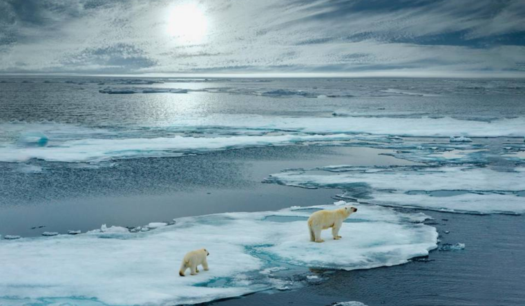 Cuando hablo con mis alumnos siempre intento que sean conscientes de que el Ártico se está calentando muy, muy rápidamente, y mucho más rápido que cualquier otra zona del planeta