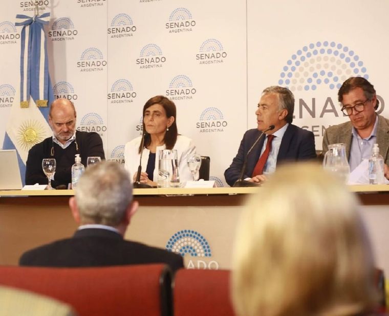 Mariana Juri, senadora nacional de la UCR por Mendoza Foto: X @mariana_juri