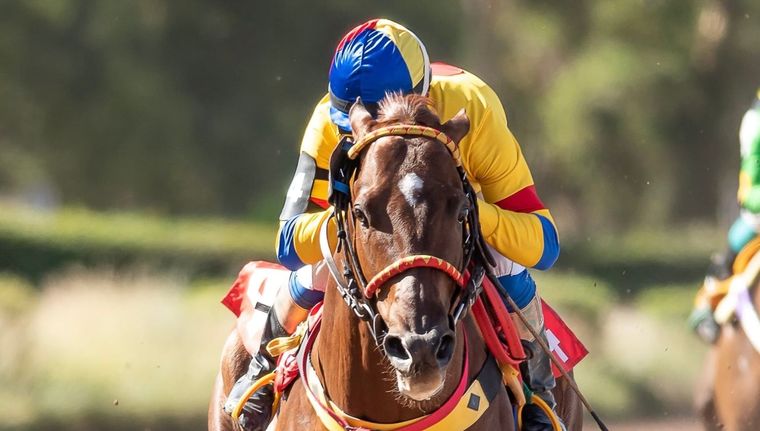 Furioso de Acero y el jockey brasileño José Eliezer Alves Silveyra fueron los ganadores de la jornada de ayer en Mendoza. Foto: Foto gentileza José Maluf