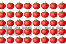 Acertijo visual, reto visual, tomate Pinterest Foto: Archivo MDZ