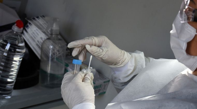 Las mujeres tendrán 15 días de licencia Foto: ALF PONCE MERCADO / MDZ