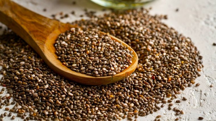 Puedes germinar las semillas de chía y consumir sus brotes Foto: Shutterstock