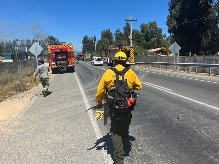 Los bomberos combaten el incendio en la zona de Los Molles, en Quilpué. Foto: CONAF