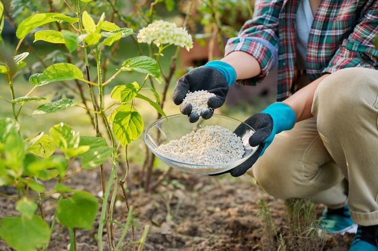 El llamado “oro blanco” también ayuda a prevenir plagas como caracoles y babosas en plantas. Foto: Archivo