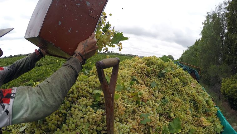 El mes de febrero marcó una mejora en las exportaciones, pero el balance del año sigue siendo negativo. Foto: ALF PONCE MERCADO / MDZ