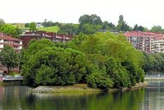 El Islote Fluvial de los Faisanes varía según la etapa del año de país por el cual es administrado Foto: Twitter