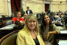 La diputada radical Estela Regidor Foto: Parlamentario.com