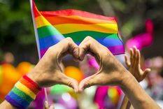 orgullo lgbt+: por primera vez en la historia la marcha sera online