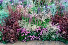 Créditos de la imagen: Alec Scaresbrook Foto: Foto: homesandegardens.com