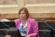 el capricho familiar de la senadora que rescato a cristina fernandez de kirchner