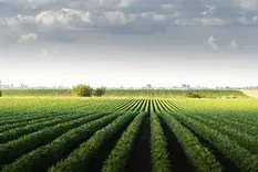 La Ley de Tierras vuelve a poner sobre la mesa uno de los temores más arraigados del imaginario argentino.