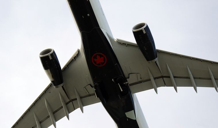 Una pasajera mordió a una policía en un avión y fue bajada de la nave.