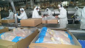 Las prolongadas gestiones para la reapertura del mercado japonés tuvieron éxito y desde este 8 de septiembre se puede exportar nuevamente.&nbsp;