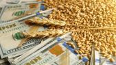 La agroexportación del agro ingresó dólares al fisco.