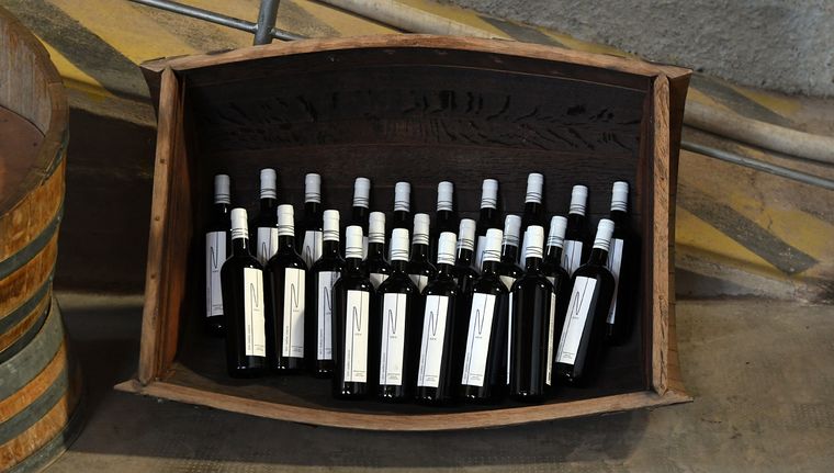 Los despachos de vino argentino al exterior cerraron un saldo positivo en el 2024. Foto: ALF PONCE MERCADO / MDZ