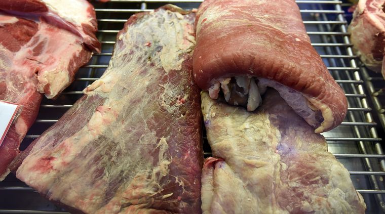 Foto: ALF PONCE MERCADO / MDZ