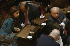 Cristina Fernández de Kirchner en el Senado de la Nación. Foto: Noticias Argentinas Cristina Fernández de Kirchner en el Senado de la Nación. Foto: Noticias Argentinas