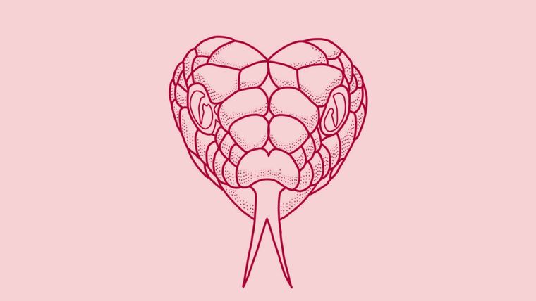 Test de personalidad