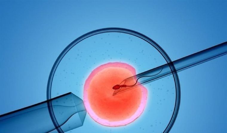 El esposo falleció el 17 de septiembre de 2020 Foto: tribunasoria.com