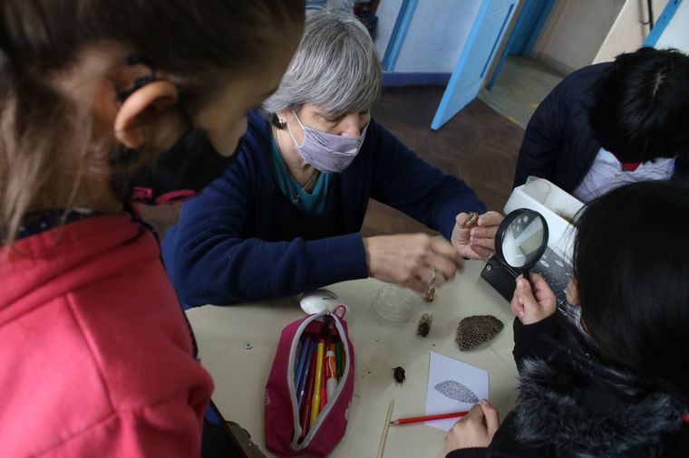 Ana María Stelman, la docente platense que está entre los 10 mejores maestros del mundo.