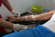 Foto: Municipalidad de Mendoza