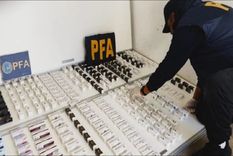 Parte del contrabando detectado. Foto: Policía Federal Argentina