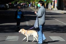 Lo más buscado acerca de mascotas. Foto: ALF PONCE / MDZ Lo más buscado acerca de mascotas. Foto: ALF PONCE / MDZ