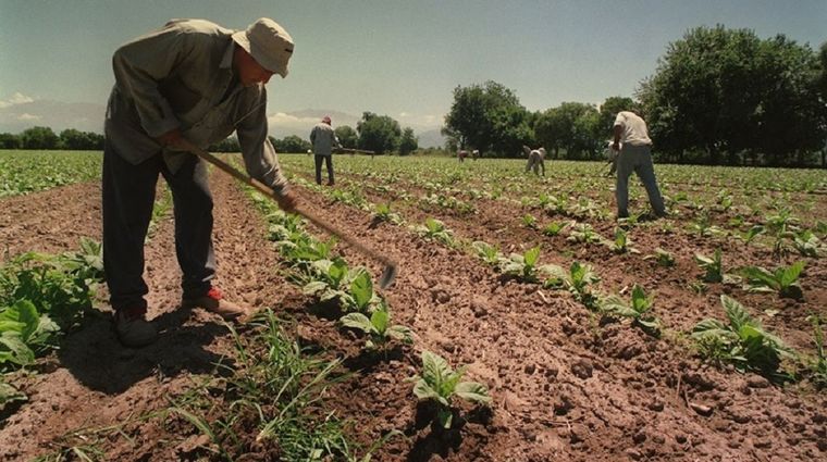 La medida firmada por Javier Milei, Guillermo Francos y Sandra Pettovello se adopta en respuesta a los pedidos de representantes de las economías regionales, sindicatos rurales y asociaciones de productores.
